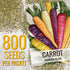 (5 Packs) Seed Needs Carrot Seeds for Planting Rainbow Carrots - Non-GMO Heirloom & Untreated Veggie Seed to Grow a