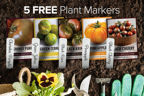 5 Pack Gardeners Basics, Rare Tomato Seeds for Planting Variety Heirloom Tomato Seeds, Cherokee Purple, Black Krim