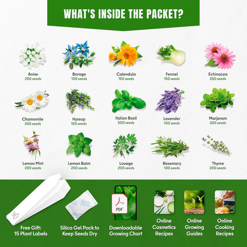 Pack 15 2950+ Medicinal Herb Seeds Variety Calendula, Echinacea, Lemon Balm, Hyssop & Lovage Varieties, Non-GMO