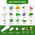 Pack 15 2950+ Medicinal Herb Seeds Variety Calendula, Echinacea, Lemon Balm, Hyssop & Lovage Varieties, Non-GMO
