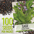 (1 Pack) Seed Needs Sage Seeds for Planting Broad Leaved Herbs - Non-GMO Heirloom & Untreated Culinary Herb Seed