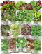Seed Needs Lettuce Seeds Variety Pack for Planting a Collection of 14