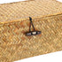 Hipiwe Wicker Shelf Baskets Bin with Lid, Handwoven Seagrass Storage Bins for Shelf, Wardrobe, Home Organizer, Small