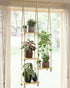 GENTINGBRO Window Plant Shelves Macrame Plant Hanger Floating Shelves Window Sill Shelf