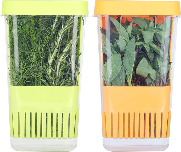 Fresh Herb Keeper for Refrigerator, Clear BPA-Free Storage Container for Cilantro, Parsley, Thyme, Mint & Asparagus