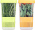 Fresh Herb Keeper for Refrigerator, Clear BPA-Free Storage Container for Cilantro, Parsley, Thyme, Mint & Asparagus