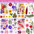 140 Pcs Dried Pressed Flowers for Resin, Natural Herbs Kit for Scrapbooking, DIY Art Crafts, and Jewelry Molds