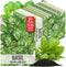 Seed Needs Basil Seeds for Planting Italian Large Leaf Herbs - Non-GMO
