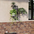 3-Tier Rotating Wall Plant Shelves Plant Shelf for Window Metal Wall Plant Holder for Multiple Plants with Hanging