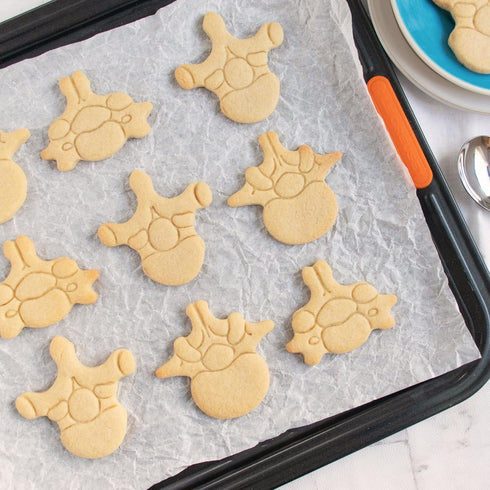 Set of 3 Vertebrae Cookie Cutters (Designs: Cervical, Lumbar, Thoracic Vertebra) - Bakerlogy