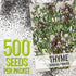 (1 Pack) Seed Needs Thyme Seeds for Planting - Non-GMO Heirloom & Untreated Perennial Herb Seed to Plant a Culinary