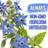 (1 Pack) Seed Needs Borage Seeds for Planting Blue Star Flowers - Heirloom Non-GMO & Untreated - Plant a Home Grown