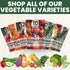 Pack 30 Packs 2026 Fall & Winter Seed Variety | Invidiual | Season | Non-GMO | Beets, Arugula, Carrots, Lettuce & More!