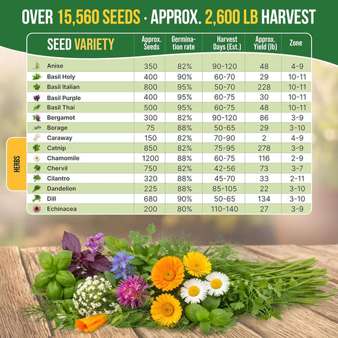 30 Pack 15,560+ Organo Republic Medicinal & Tea Herb Seeds Variety Non-GMO Heirloom Garden Seeds for Indoor & Outdoors