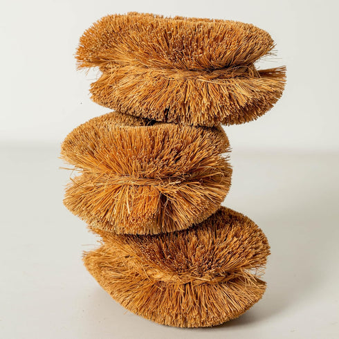 Pack 6 100% of Tawashi Natural Coconut Coir Fiber Brush, Vegetable Scrub Brush, Ideal for Fruit Scrub, Kitchen Cleaning