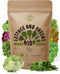 Organo Republic 10 Lettuce & Salad Greens Seeds Variety Pack 4800+ Non-GMO