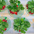 codree 10 Pack 3 Strawberry Plant Supports, Strawberry Plant Stand with Sturdy Legs, Strawberry Growing Racks