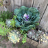 Admired By Nature Faux Cabbage Artificial Vegetables, Realistic Fake Food Plant Props for Home & Kitchen Decoration,