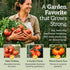 75+ TKE Farms & Gardens - Beefsteak Tomato Seeds for Planting, Heirloom Non-GMO Variety, Grow Large Juicy Slicing
