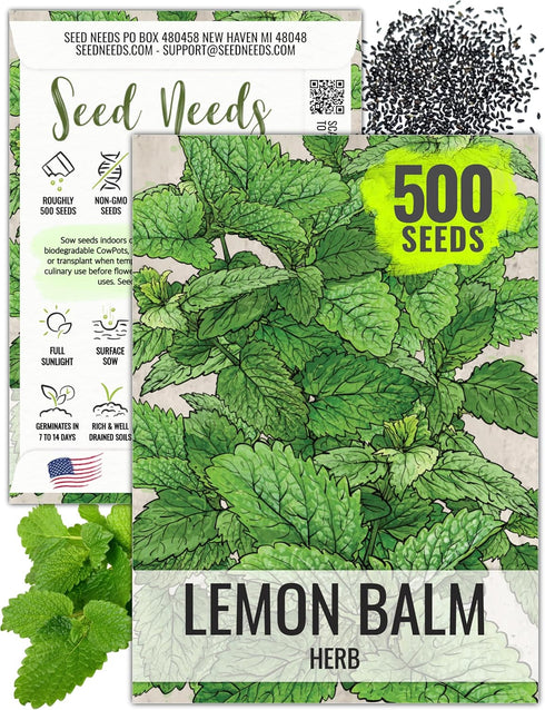 Seed Needs Lemon Balm Seeds for Planting - Non-GMO, Heirloom & Untreated