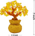 7 Inch Feng Shui Citrine Quartz Gemstone Money Tree Natural Gold Crystal Decoration for Office Room Good Luck Fortune