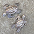 Sea Turtles Beach Metal Art - Set of 2 Nautical Wall Hanging Figurines, Handmade in Haiti, 6 x 7.75 Inches