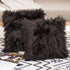 HYSEAS Set of 2 Decorative Faux Fur Throw Pillow Covers, Black Fluffy Soft Cushion Cover for Sofa, 18 x 18 Inches