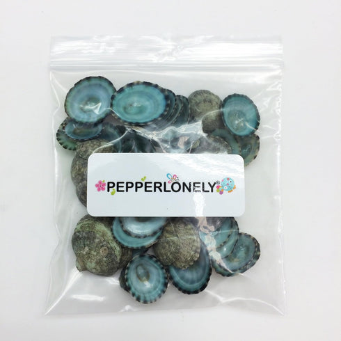 PEPPERLONELY 50PC Green Limpet Shells, Craft Sea Shells, Sizes 1/2 Inch to 1 Inch
