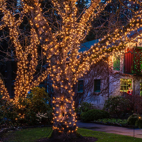 Christmas Lights 100 Count Mini Clear Lights, 32ft White Wire Christmas Tree String Lights Set for Indoor Outdoor