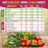 40 Pack 26000 Packets, Organo Republic Vegetable Seeds Variety - Non GMO Heirloom Seeds for Planting Vegetables
