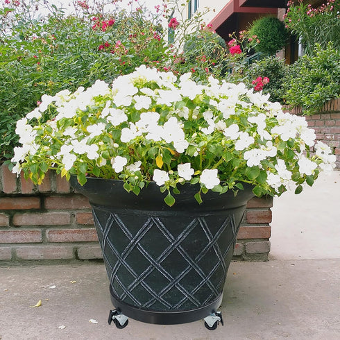alleegold 16 Inch 360 Wheels,500 Lbs Heavy Duty Plant Caddy With Lockable Capacity,Outdoor Indoor Rolling Plant Stand