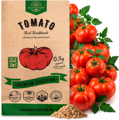 Red Beefsteak Tomato Seeds Pack 0.5 G - Over 250 Non-GMO Heirloom