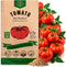 Red Beefsteak Tomato Seeds Pack 0.5 G - Over 250 Non-GMO Heirloom