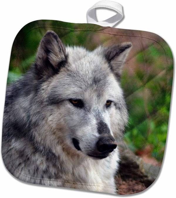 3D Rose Pot Holder, Grey Wolf Posing, 8" x 8"