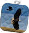 3D Rose Pot Holder, Crow Attacking Bald Eagle, 8 x 8