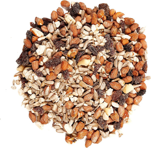 82072 5 (Pack 1) Wagner's Gourmet Nut & Fruit Wild Bird Food, Pound