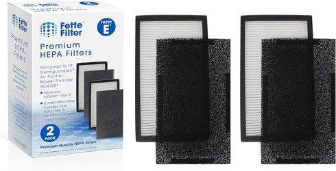 Fette Filter True HEPA Filter Compatible with GermGuardian FLT4100 Models