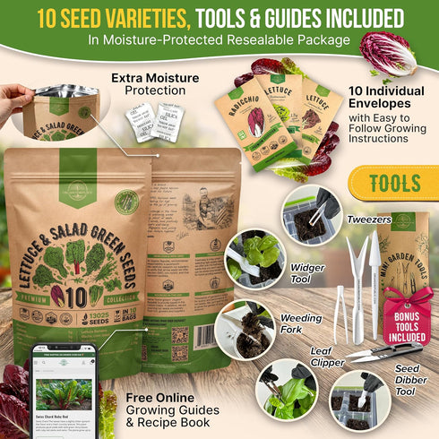 10 Pack 13000+ Organo Republic Lettuce & Salad Greens Seeds Variety Non-GMO Heirloom Lettuce Seeds for Planting Indoors