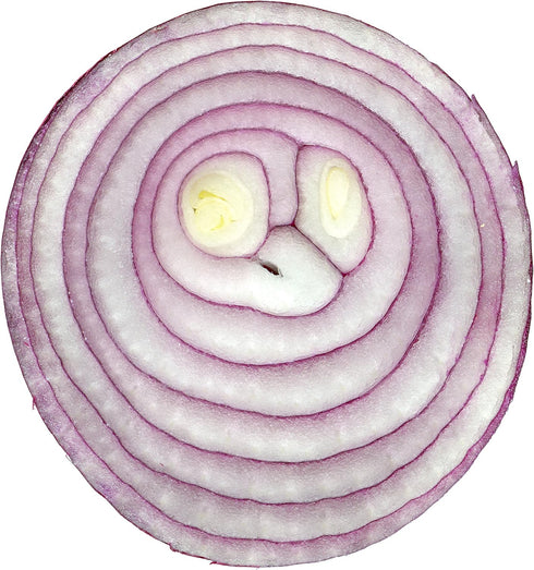 Seed Kingdom 1/4 Lb Onion RED Creole Great Heirloom Vegetable By Bulk Seeds