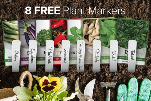 8 Packets Gardeners Basics, Asian Vegetable Seeds for Planting Bok Choy, Michihili (Napa) Chinese Cabbage, Tatsoi