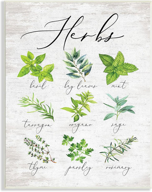 Stupell Industries Kitchen Herb Reference Chart Garden Fresh Home Seasoning, 10 x 15, Green Wall Plaque