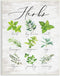 Stupell Industries Kitchen Herb Reference Chart Garden Fresh Home Seasoning, 10 x 15, Green Wall Plaque