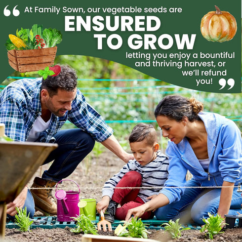 10 Packs 2026 Tomato Seeds | Individual | Season | Non-GMO | Roma, Brandywine, Cherry & More! | for Planting Indoor