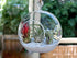 WGV Clear Glass Hanging Terrarium Globe, 7" Width, 8" Height, DIY Air Succulent Planter, 1 Piece