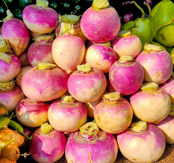 Axel's Garden Seeds Turnip Seeds for Planting 200 Non GMO Heirloom Purple Top Turnip Seeds