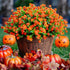 Artificial Fall Flowers Outdoor Fake Mums - 12 Bundles UV Resistant No Fade Faux Plastic Greenery for Garden Porch