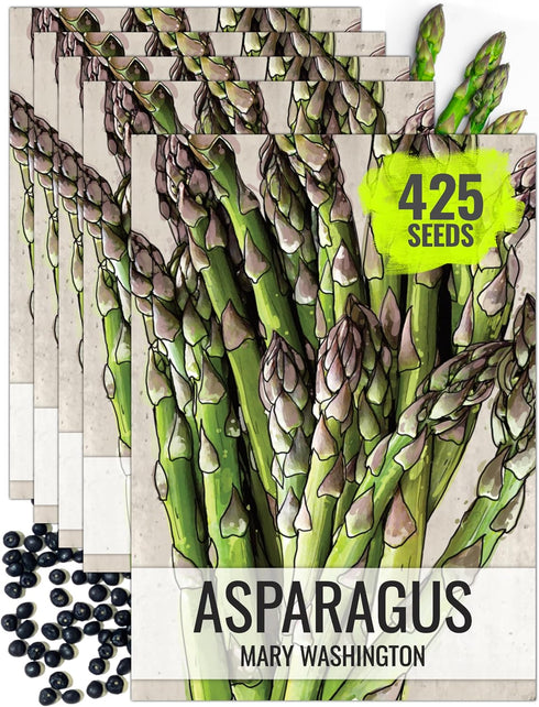 Seed Needs Asparagus Seeds for Planting Mary Washington Asparagus - Non-GMO Heirloom