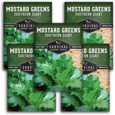 Southern Giant Mustard Green Seeds for Planting Heirloom Non-GMO Spicy Greens, Heat