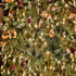 50 8 2 Pack Christmas Lights - Battery Operated String Lights LED String Lights Mini Lights with Auto-Timer