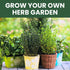 5 Packs 2026 Herb Seeds | Invidiual | Season | Non-GMO | Basil, Dill, Spearmint, Parsley & Thyme! | for Planting Indoor